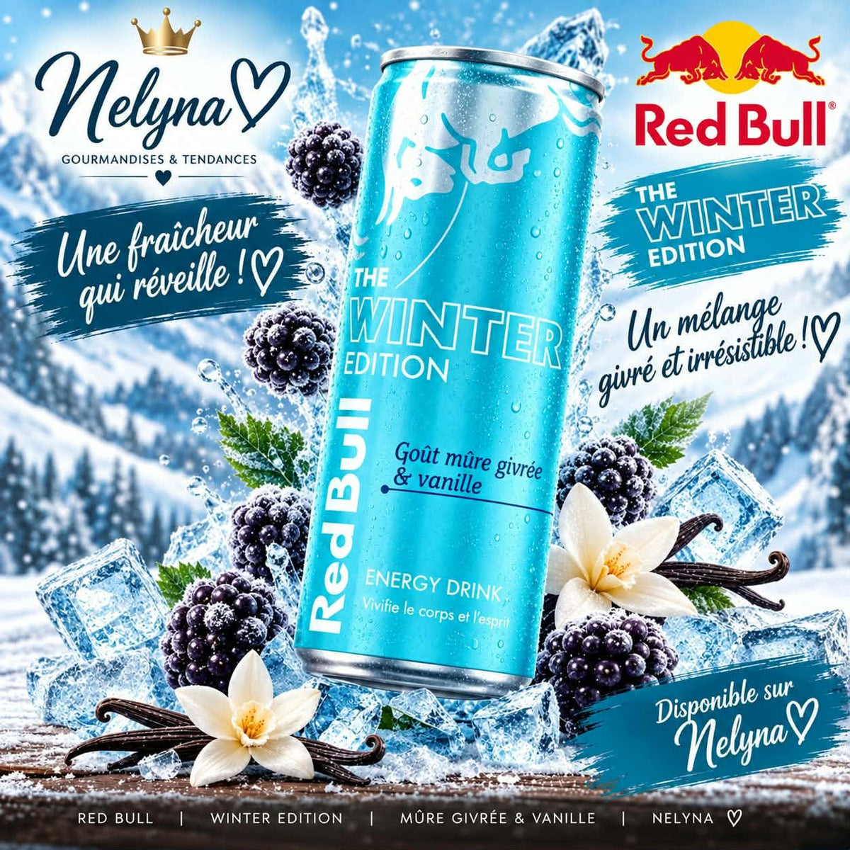 Red Bull Winter Edition Mûre Givrée & Vanille (pré commande)